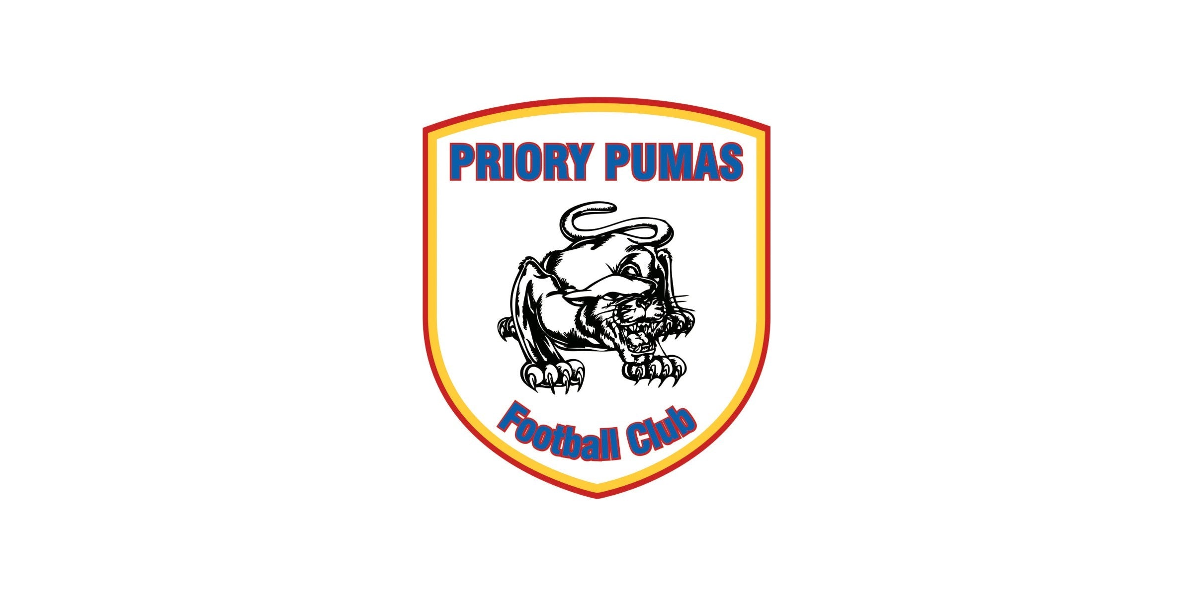 Priory Pumas Football Club Teams Overview