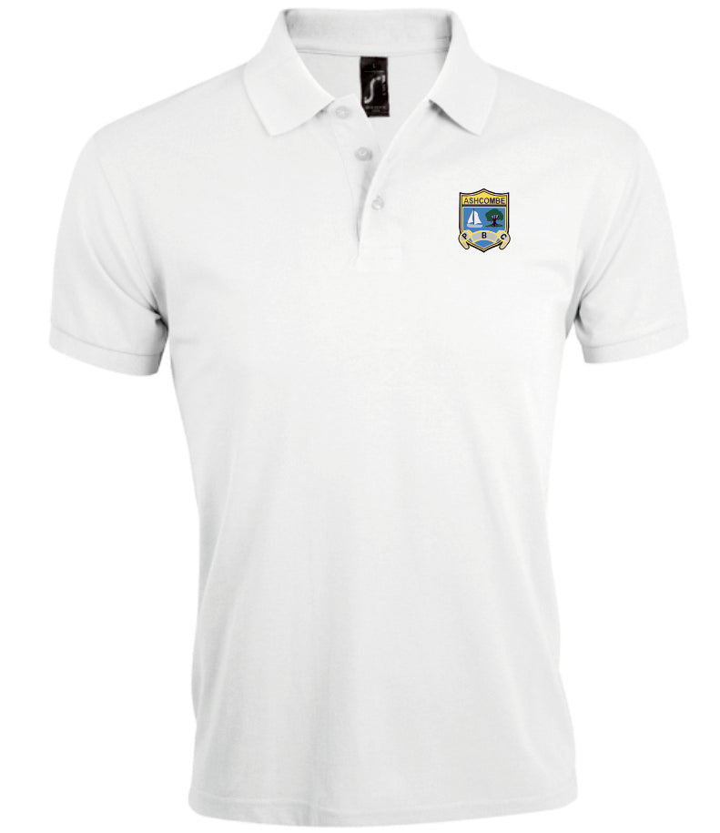 Ashcombe Park Bowls Polo