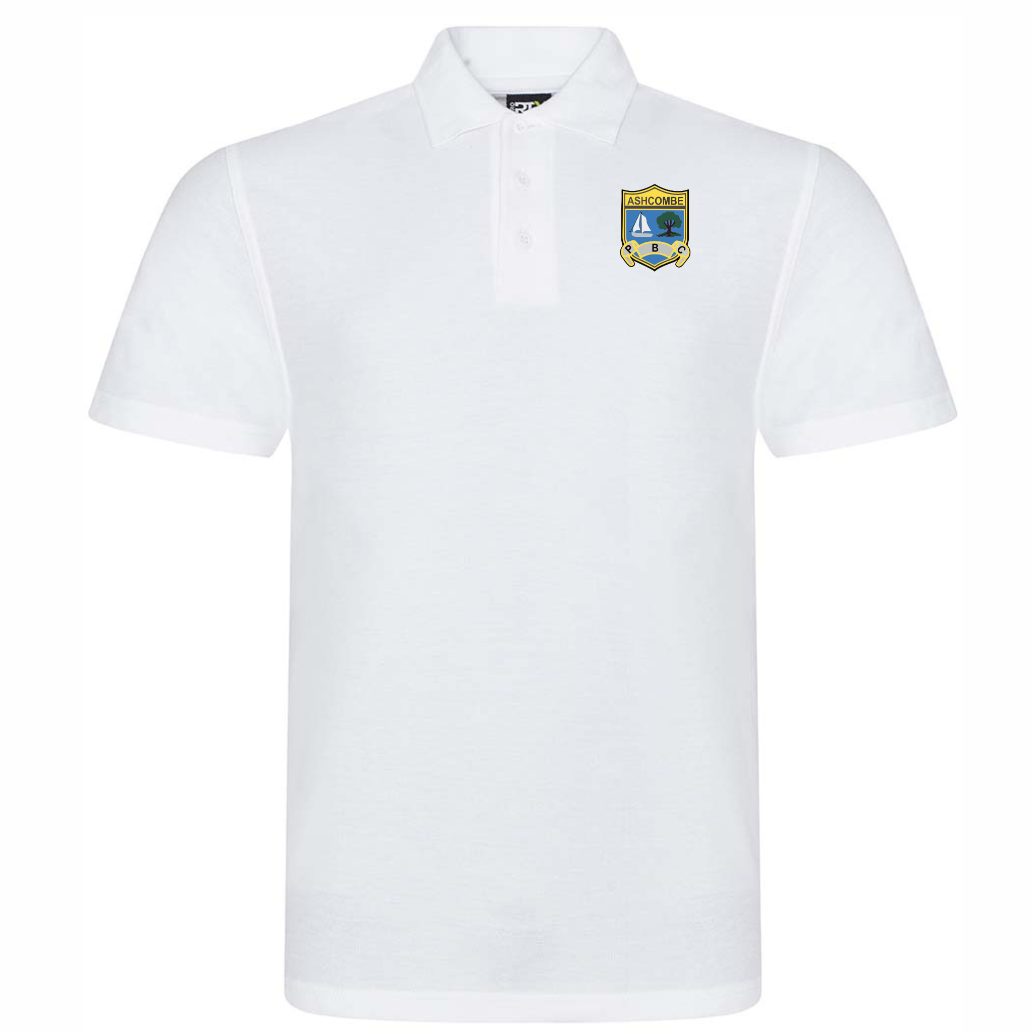 Ashcombe Park Bowls Polo