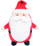 Your Club Christmas Mascot